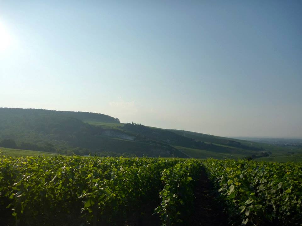 Sint-Martinus den XIIde - Kamp Curfoz JIN 2013